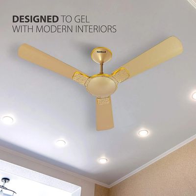 Havells Enticer Hues 56'' (Gold) H-225_img_1
