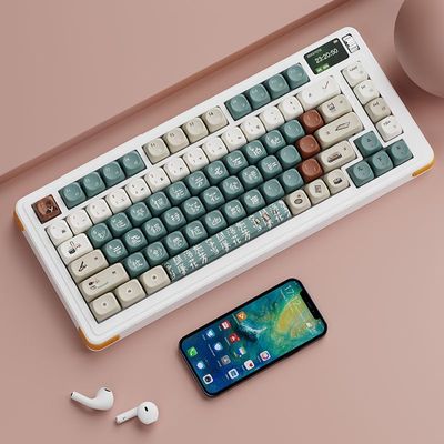 Book Amber OQO (MOA) PBT Keycaps Set_img_2