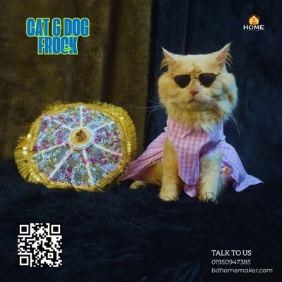 Cat frock (5kg)_img_0