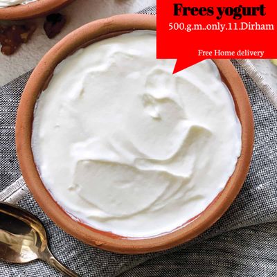 Cow Milk Yohgurt / Curd_img_1