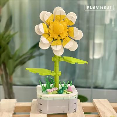 Daisy Potted Plants_img_1