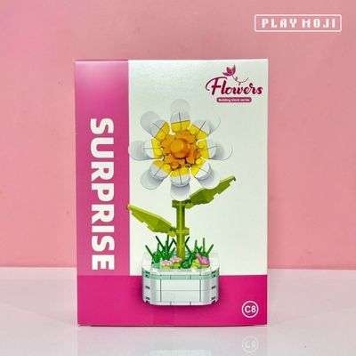 Daisy Potted Plants_img_2