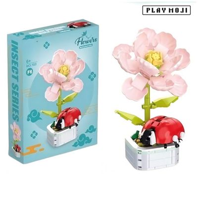 Ladybug Hibiscus Potted Plant_img_2