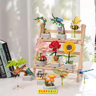 Phalaenopsis Potted_img_3