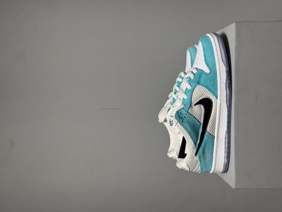 Sb dunk low april_img_0