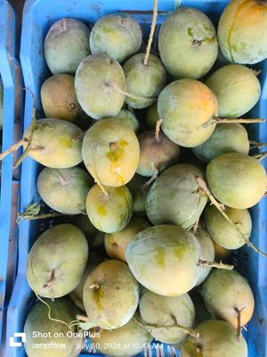 আম (বাড়ি-Four-1kg) ফরমালিন মুক্ত_img_4