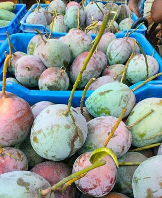 আম (বাড়ি Seven-1kg) ফরমালিন/কার্বাইড মুক্ত_img_1