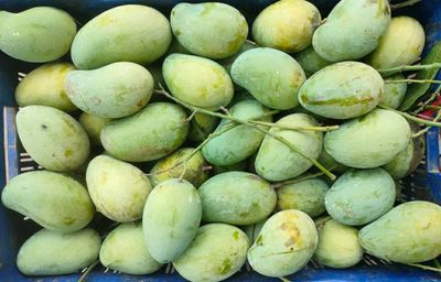 আম্রপালি🥭আম ফরমালিন/কার্বাইড মুক্ত_img_1