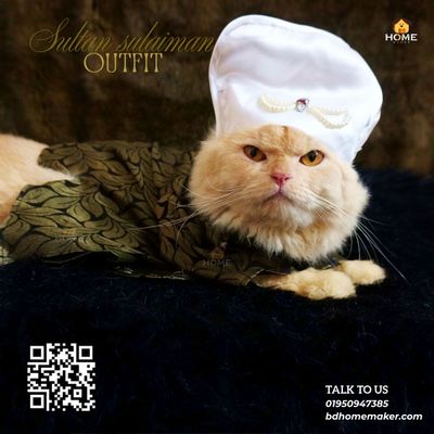 Sultansulaimon_img_3