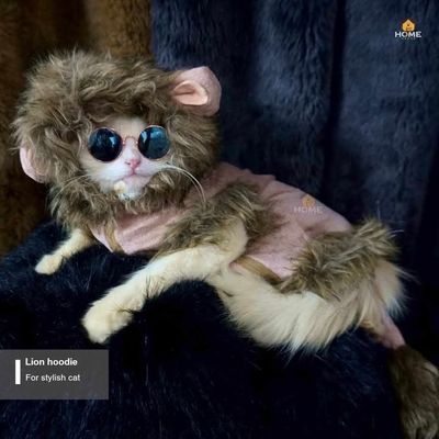 cat laion hoodie (custome)_img_2