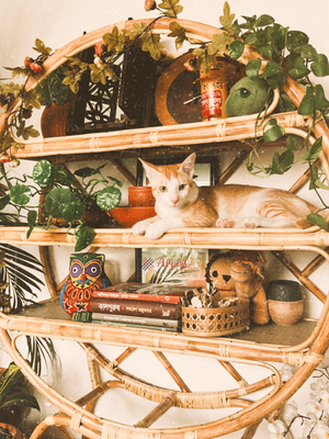 Rattan Made Round Shelf_img_2