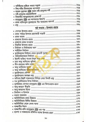 সীরাতে হায়াতুন্নবী (দ.)_img_6