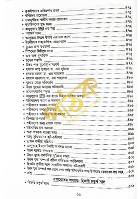 সীরাতে হায়াতুন্নবী (দ.)_img_12