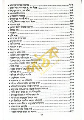 সীরাতে হায়াতুন্নবী (দ.)_img_19