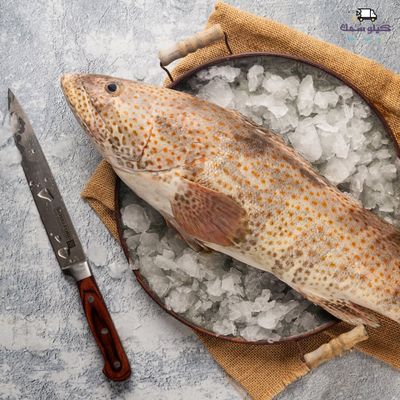 Fresh Organic Hamour Fish – Whole or Sliced (Premium Quality)_img_0