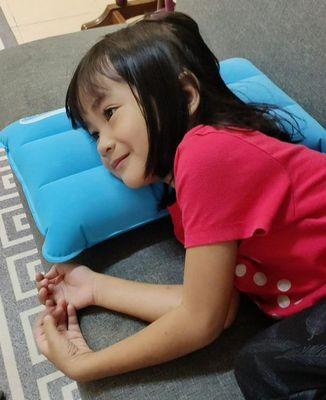 Desert Fox Inflatable Air Pillow_img_1