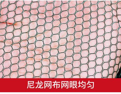 Chinese Foldable Round Fishing Net_img_9
