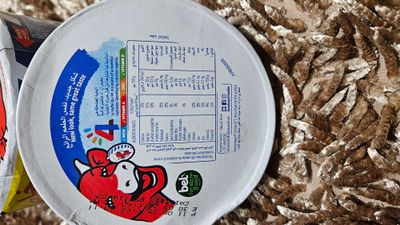 Laughing Cow Cheese (8pics)_img_1