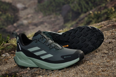 Adidas Terrex Trailmaker 2 GORE-TEX Hiking Shoes_img_2