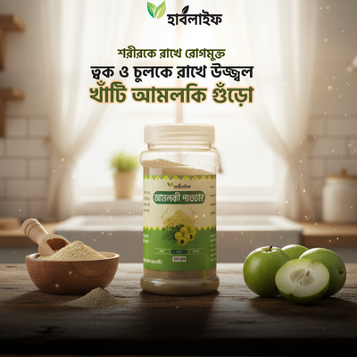 আমলকি পাউডার / Amalaki powder (১০০ গ্রাম )_img_0
