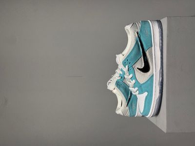 Sb dunk low april_img_2