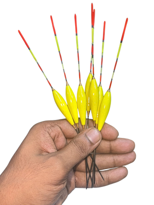 চায়না পাখনা_img_0