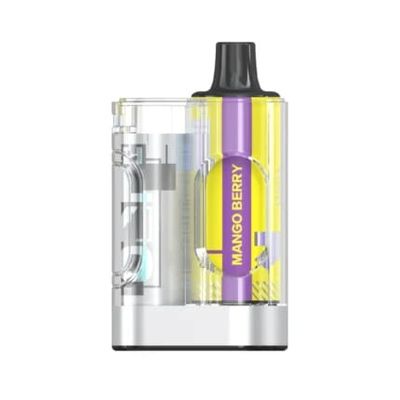 Flyto Switch mango berry 6000 Puffs Disposable Pod Kit – Rechargeable, 8ml E-liquid, Type-C Charging_img_1