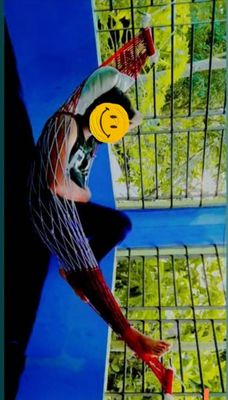 কাঠিযুক্ত দোলনা (হ্যামক)_img_4