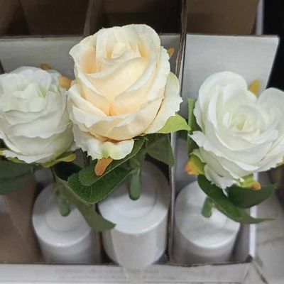 Rose Light 1pc_img_1