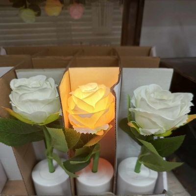 Rose Light 1pc_img_2
