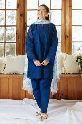 coco by Zara Shajahan inspired Blue-White_img_0