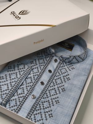 Ice Blue Heritage Panjabi_img_1