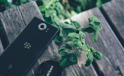 Blackberry Priv (Android)_img_3