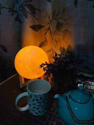 3D Moon Lamp 🌙🌙🌙_img_1