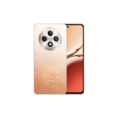 OPPO Reno12 F 8GB 256GB - 6.67-inch, Dual-SIM, Android 14 (Best Price)_img_0