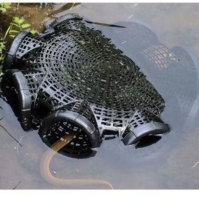 8 hole fishing cage chai_img_0