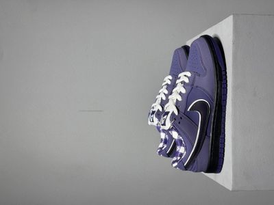 Sb Dunk Purple Lobster_img_0