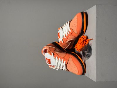 Sb Dunk Lobster_img_2