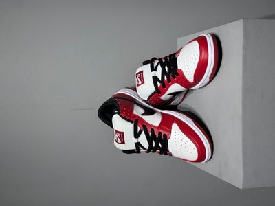 Sb dunk chicago red_img_1