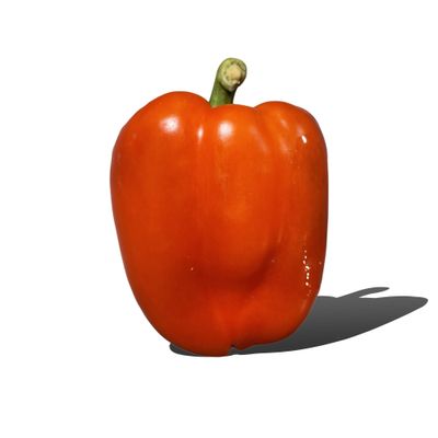 Capsicum (Red)_img_0