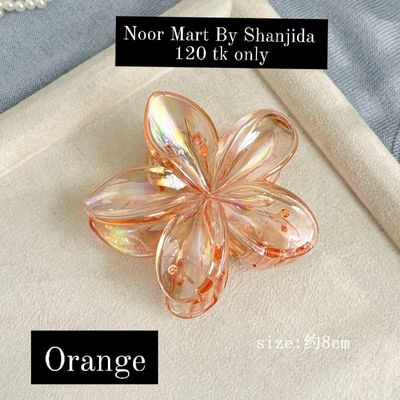 HAIR CLIP  NS3826_img_2