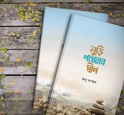 নুড়ি পাথরের দ্বীপ_img_0