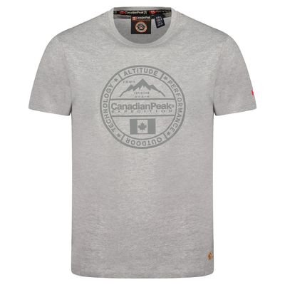 T-Shirt Col Rond avec Impressions et Drapeau GRIS CLAIR_img_0