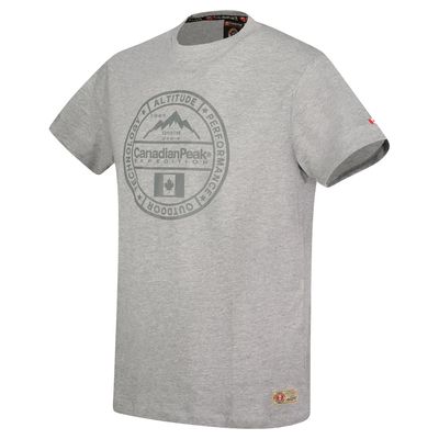 T-Shirt Col Rond avec Impressions et Drapeau GRIS CLAIR_img_1