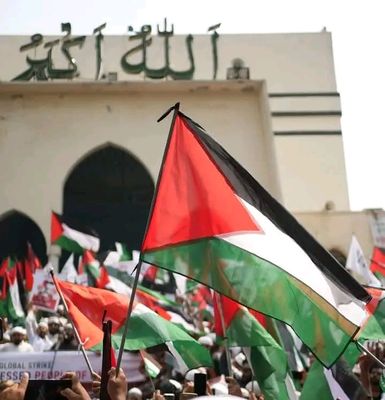 Palestine National Flag_img_2