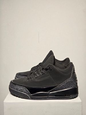 Air Jordan 3 Black Cat_img_2