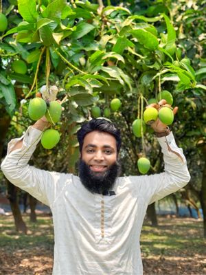 গোবিন্দভোগ আম ।। Gobindobhog_img_2