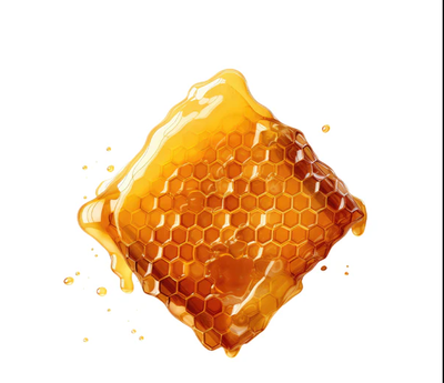 Sundarban Honey/সুন্দরবন ফুলের মধু_img_1