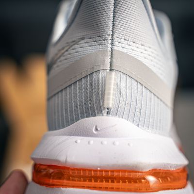 Nike Pegasus Premium (1:1)_img_7