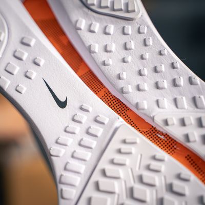 Nike Pegasus Premium (1:1)_img_8